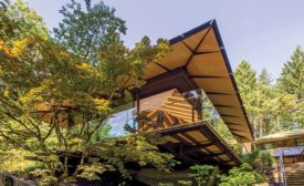 Japanese Garden’s Cultural Expansion Crossing