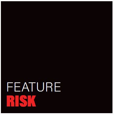 risk risk