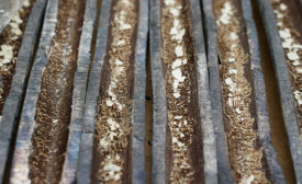 A cross-section view of corroded lead pipes arranged vertically side-by-side