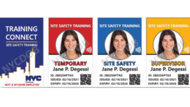 NYCDOB_SST_cards_ENRweb.jpg